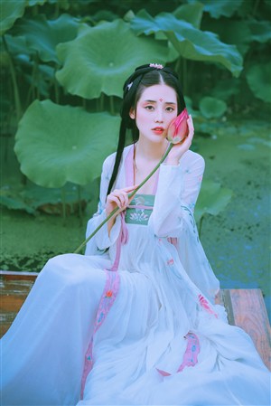 2019中文字幕高清电影网站