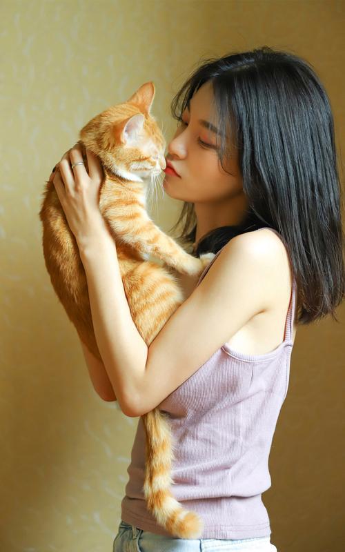 适合夫妻一起看电视剧