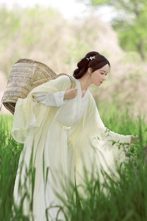 女人一生必看的大片