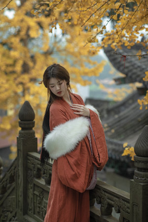 两个人的电影全免费观看