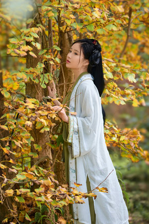 慈禧的秘密生活电影