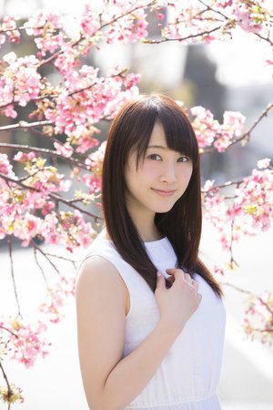 李大宝的平凡岁月