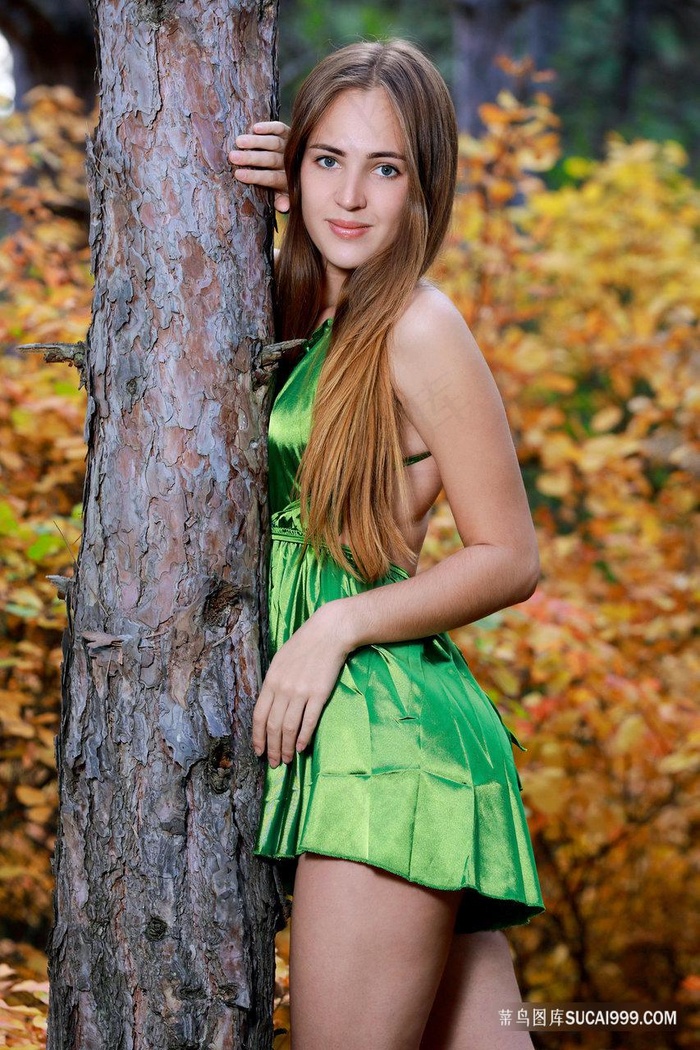 叶子楣柳斋艳谭