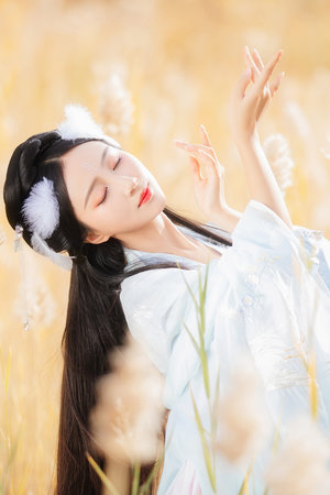 阿拉伯之夜完整版在线观看bd