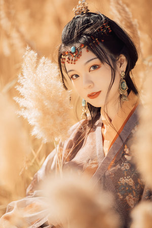 王安宇电视剧全集免费观看大全