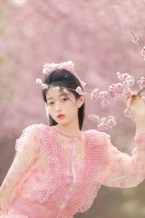 暗黑精灵全集观看