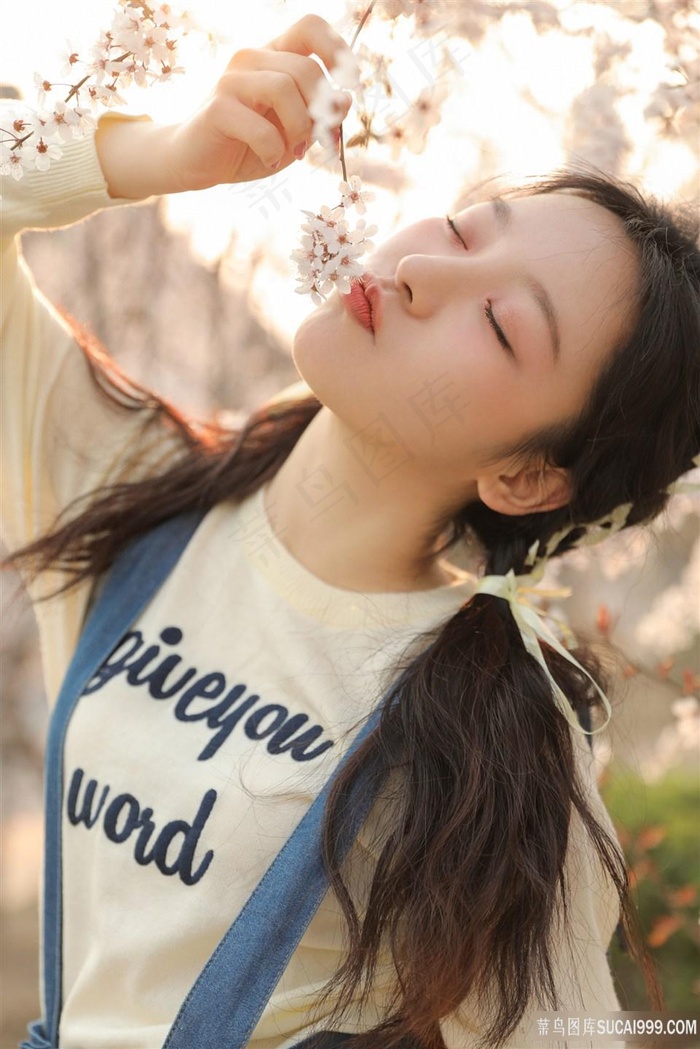 姐姐的朋友在完整5视频带翻译